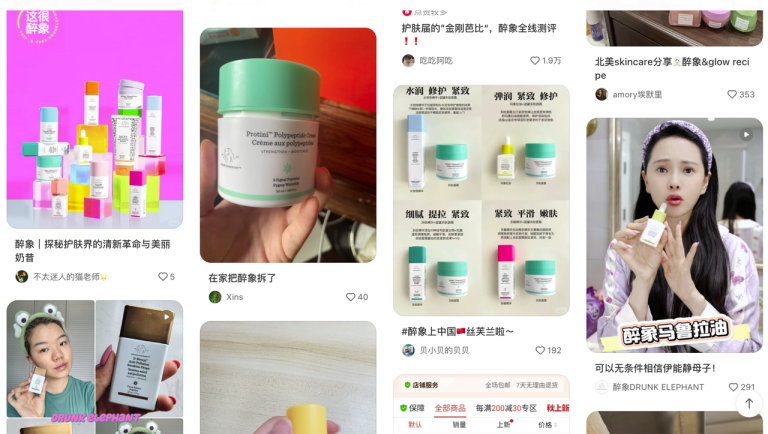 The Indispensable Role of Influencer Marketing for Brands in the Chinese Market