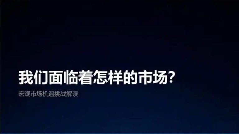 掌握中国市场：可执行策略与核心平台